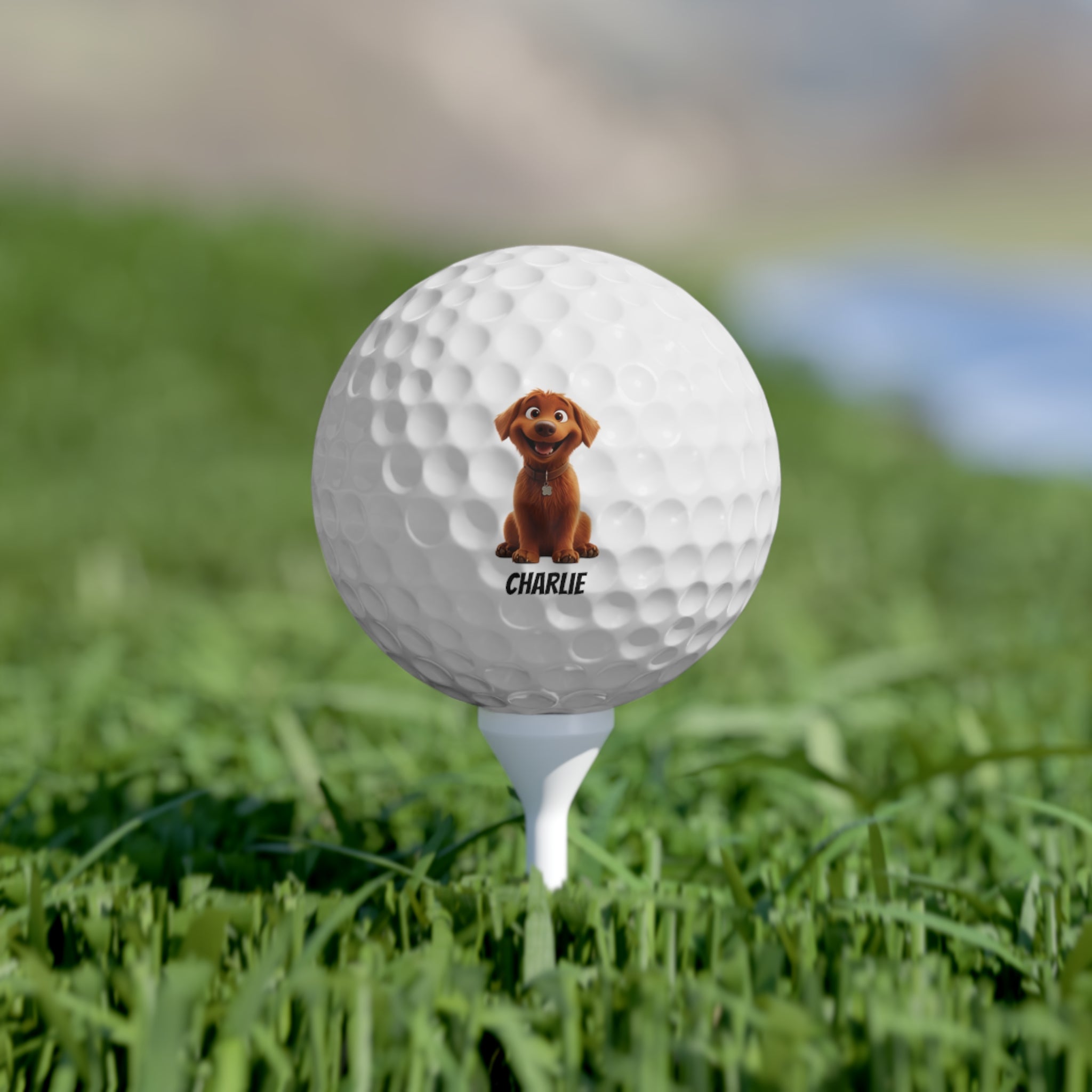 Personalized Golf Balls – Set of 6